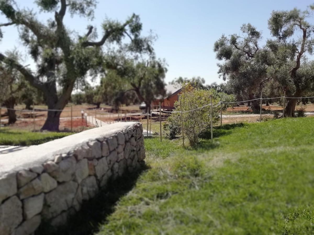 Agriturismo Marconi Porto Cesareo Exterior foto